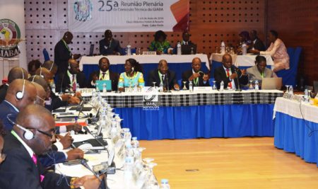 25º Reunião Plenária da Comissão Técnica do GIABA